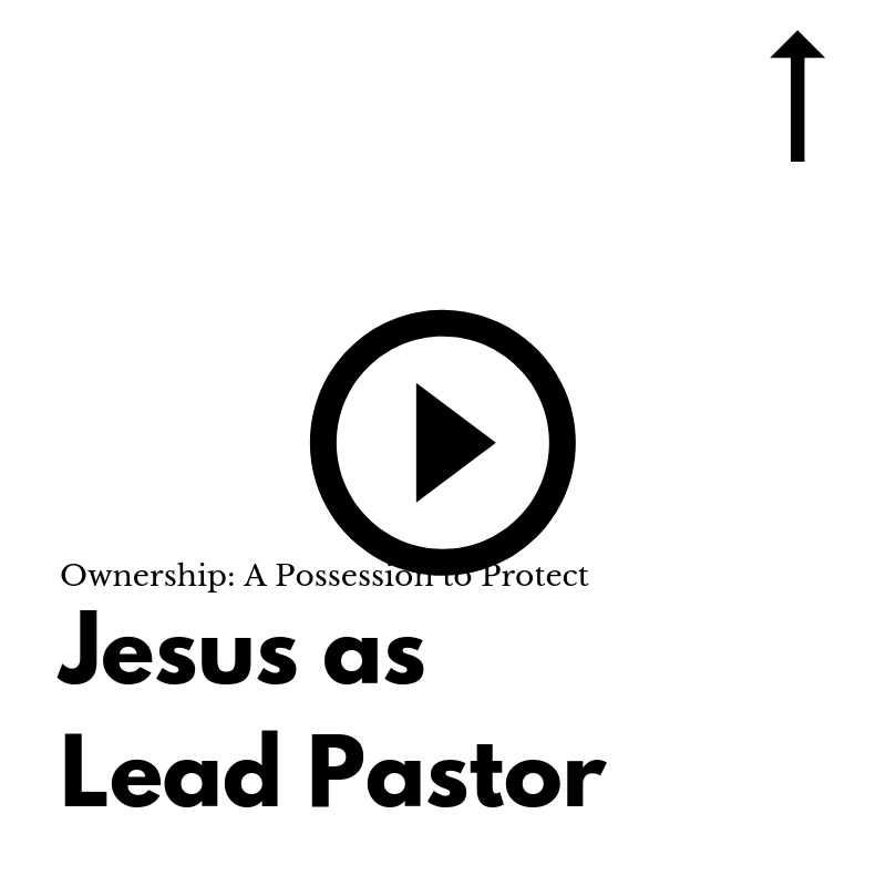 Ownership: A Possession to Protect