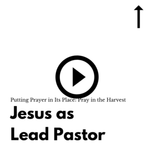 Pray in the Harvest to the Lord of the Harvest