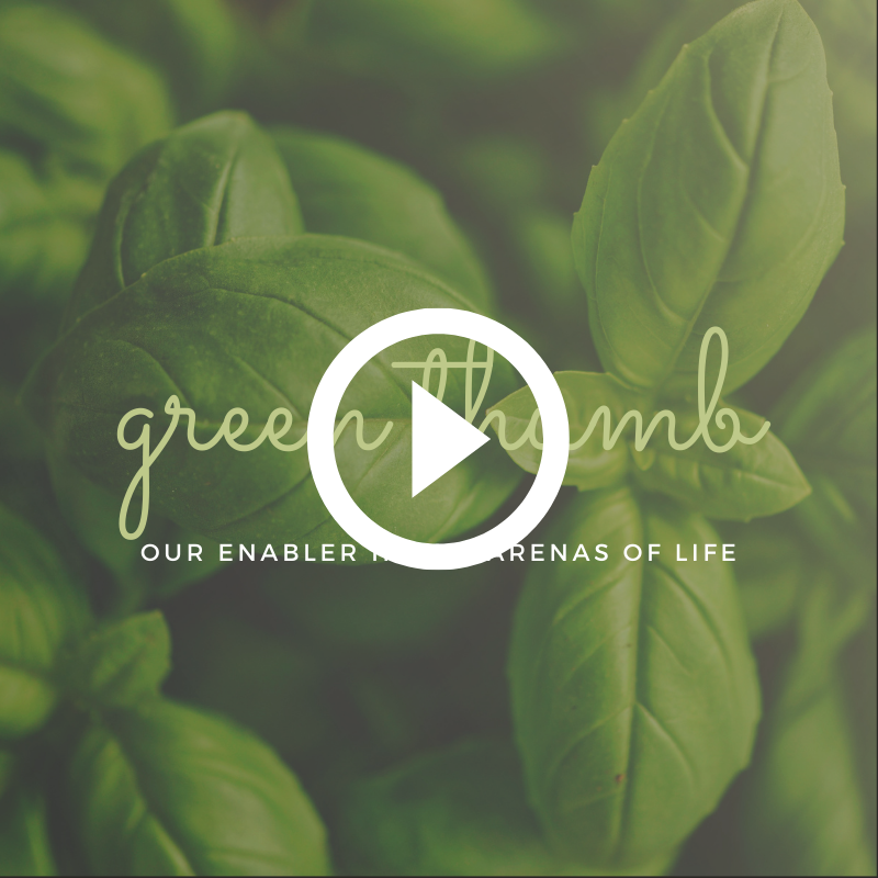 Why Should I Be Filled with the Holy Spirit?