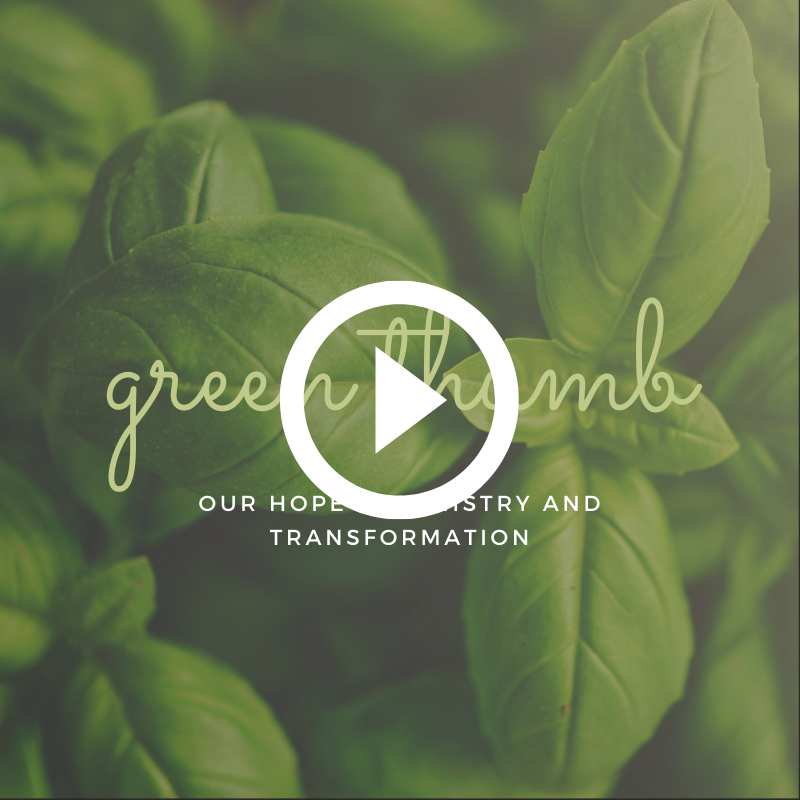 Holy Spirit and Transformation