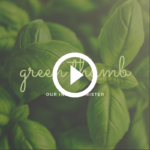 Holy Spirit Inside Minister